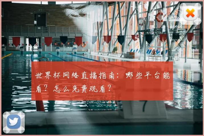 世界杯网络直播指南:哪些平台能看?怎么免费观看?