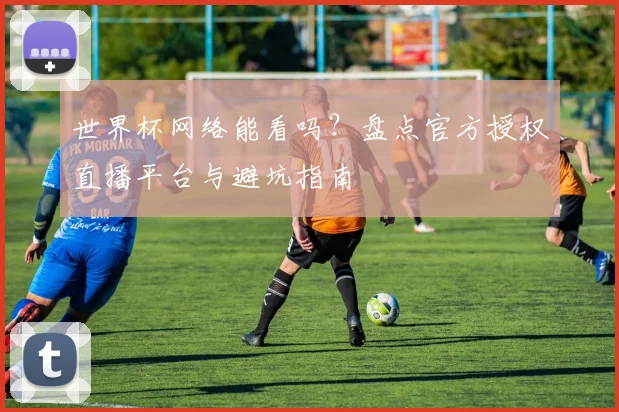 世界杯网络能看吗？盘点官方授权直播平台与避坑指南