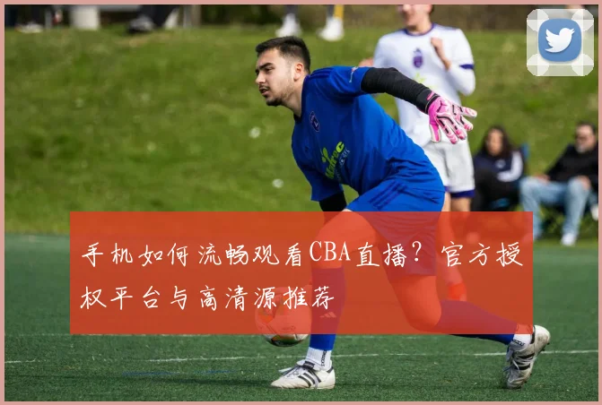 手机如何流畅观看CBA直播？官方授权平台与高清源推荐