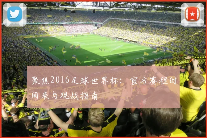 聚焦2016足球世界杯：官方赛程时间表与观战指南