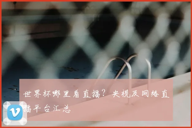 世界杯哪里看直播？央视及网络直播平台汇总