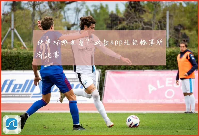 世界杯哪里看？这款app让你畅享所有比赛