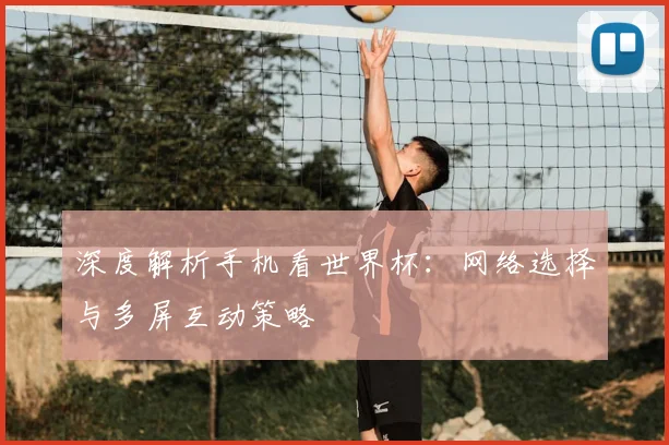 深度解析手机看世界杯：网络选择与多屏互动策略