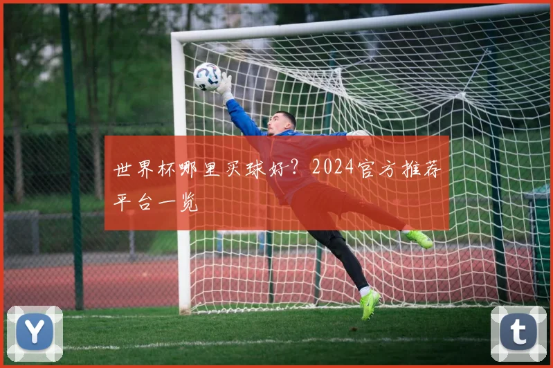 世界杯哪里买球好？2024官方推荐平台一览