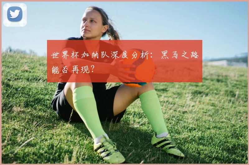 世界杯加纳队深度分析:黑马之路能否再现?